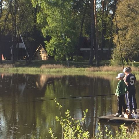 Vakantiepark 't Vosseven - Camping Weert - Image N°2