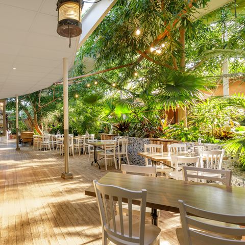 Center Parcs Limburgse Peel - Camping Horst an der Maas - Image N°3