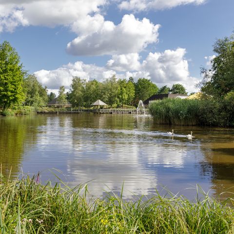 Center Parcs Limburgse Peel - Camping Horst an der Maas - Image N°6