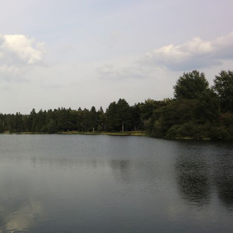 Ferienpark Harz am Waldsee - Camping Basse-saxe - Image N°4