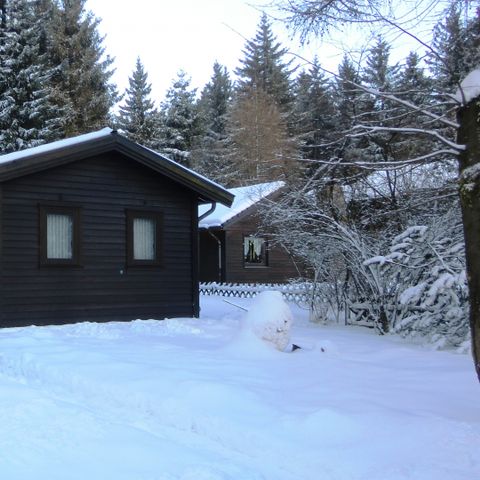 Ferienpark Harz am Waldsee - Camping Basse-saxe - Image N°6