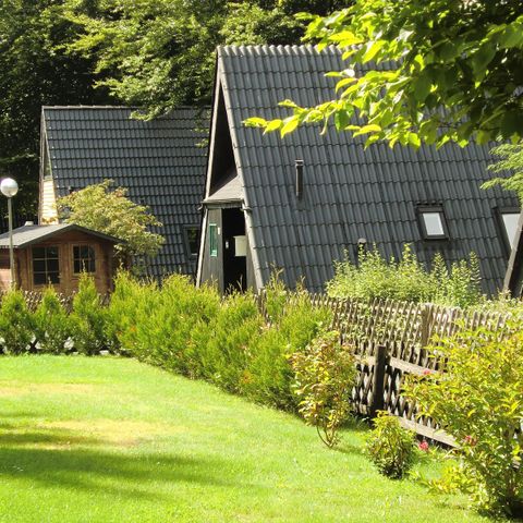 Ferienpark Harz am Waldsee - Camping Basse-saxe - Image N°5