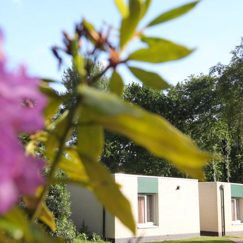 BUNGALOW 6 personnes - H6A