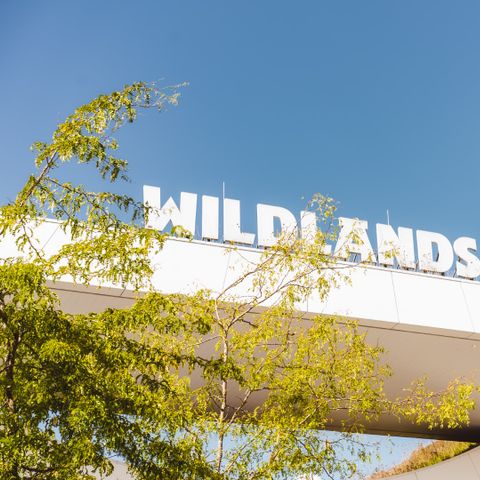 Landal Vakantiepark Hunzedal - Camping Borger-Odoorn - Image N°5