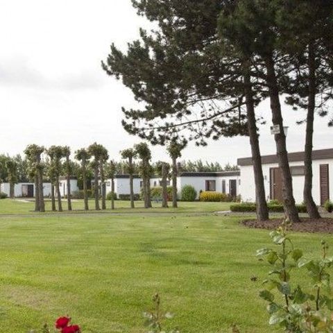 Jonckershof - Camping Flandre Occidentale - Image N°5