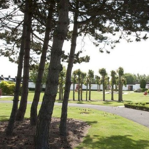 Jonckershof - Camping Flandre Occidentale - Image N°6