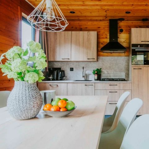 BUNGALOW 6 personnes - Sauna et bain à remous de Damhert