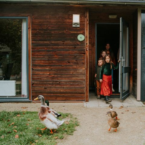 BUNGALOW 6 personnes - Sauna et bain à remous de Damhert