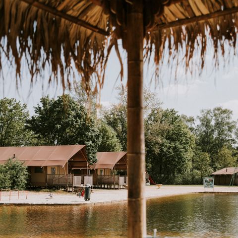 Vakantiepark Dierenbos - Camping Meierijstad - Image N°5