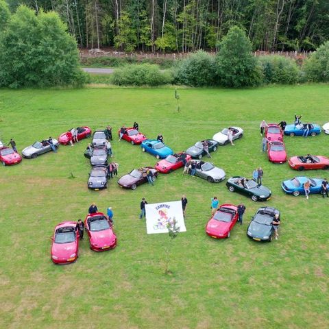 Camping Oos Heem - Camping Liège - Image N°5