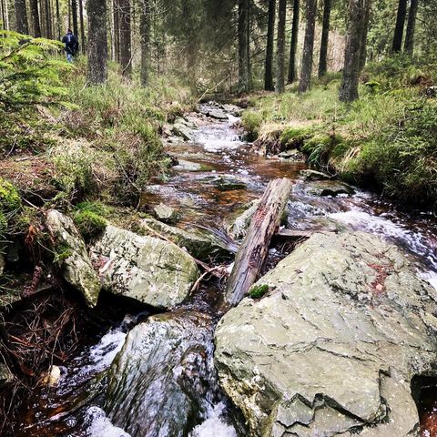 Camping Oos Heem - Camping Liège - Image N°6