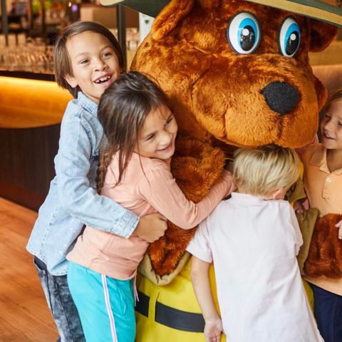 Landal Landgoed De Elsgraven - Camping Wierden - Image N°4