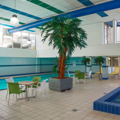 Landal Vitamaris - Camping Südwest-Friesland - Image N°6