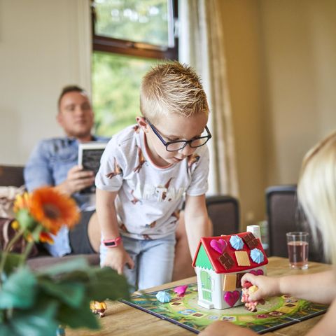 Vakantiepark Hof van Zeeland - Camping Borsele - Image N°4