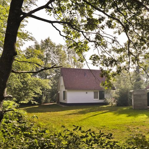 Summio Vakantiepark Het Drentse Wold - Camping Mitte-Drenthe - Image N°6