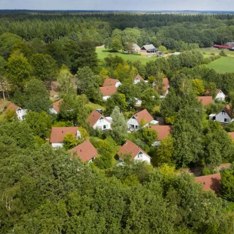 Summio Vakantiepark Het Drentse Wold - Camping Mitte-Drenthe - Image N°5