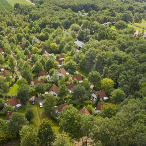 Summio Vakantiepark Het Drentse Wold - Camping Mitte-Drenthe - Image N°2