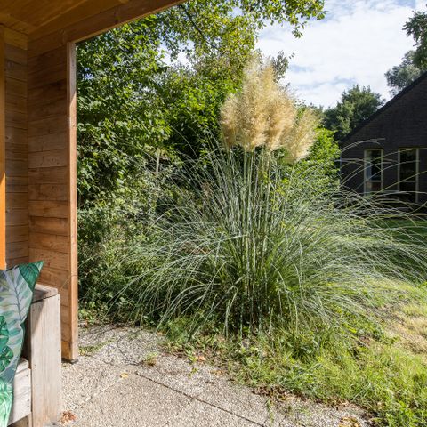 BUNGALOW 6 personnes - Forêt 209