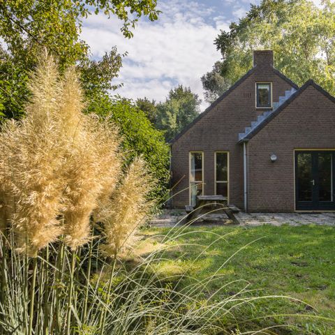 BUNGALOW 6 personnes - Forêt 209