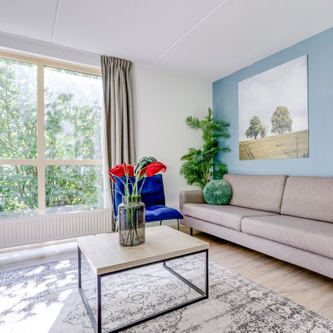 BUNGALOW 6 personnes - Forêt 231