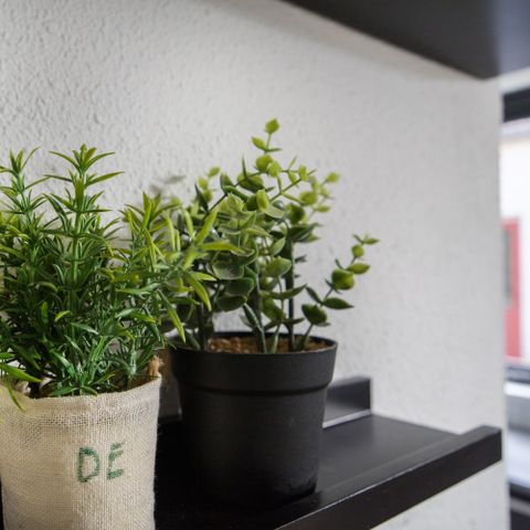 BUNGALOW 6 personnes - Lacs 61