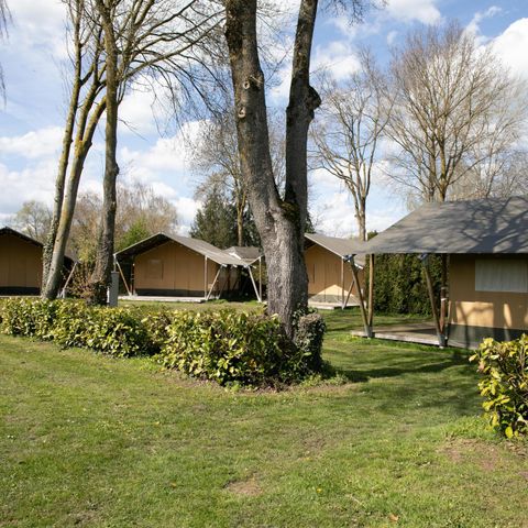 Tente en toile et en bois 6 personnes