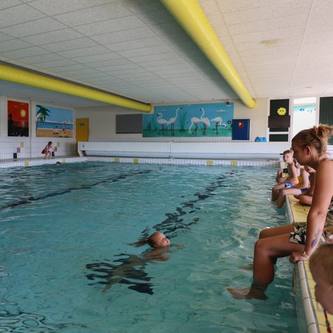 Recreatiepark De Scherpenhof - Camping Voorst - Image N°4