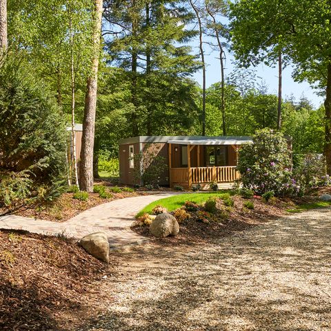 BUNGALOW 6 personnes - Forest Lodge Luxe