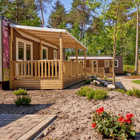 Vakantiepark Het Lierderholt - Camping Apeldoorn - Image N°5