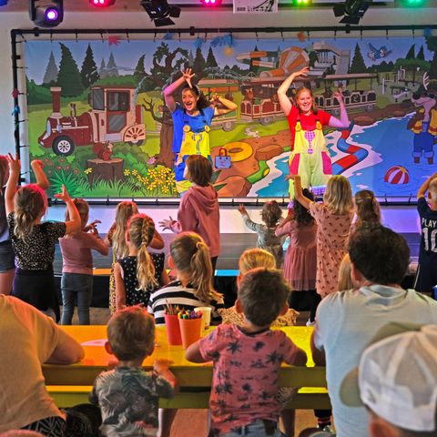 Vakantiepark Het Lierderholt - Camping Apeldoorn - Image N°4