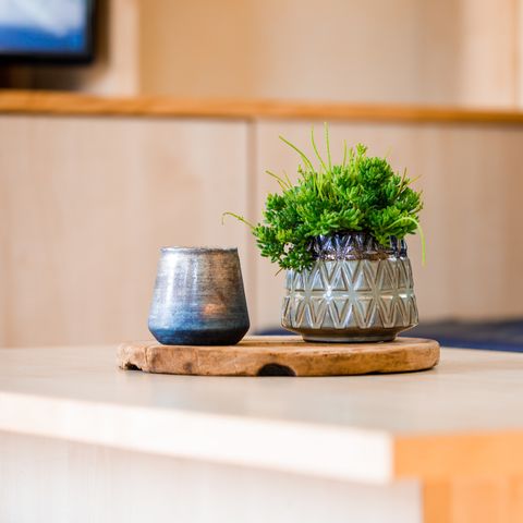 CHALET 5 personnes - Animaux acceptés (max. 3 adultes)