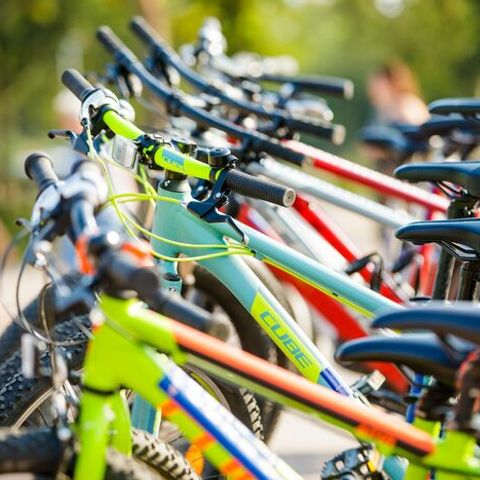 Vakantiepark Leukermeer - Camping Bergen - Image N°6