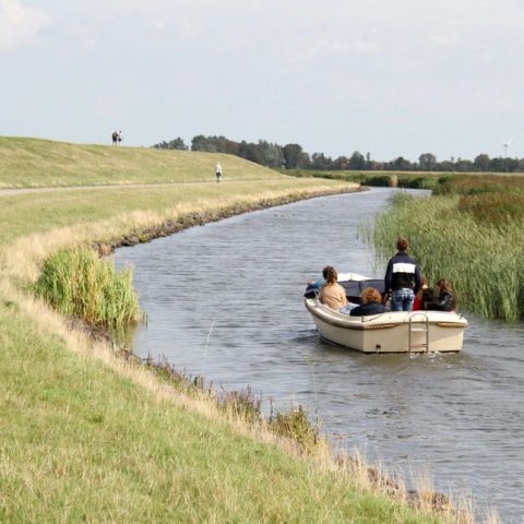 Summio Vakantiepark It Wiid - Camping Tietjerksteradeel - Image N°5