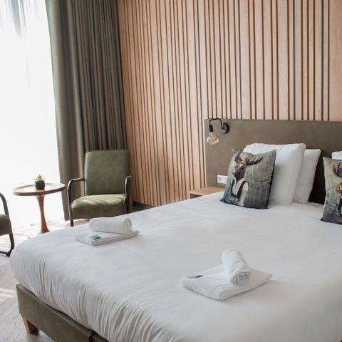 Chambre 4 personnes - Familiale de luxe