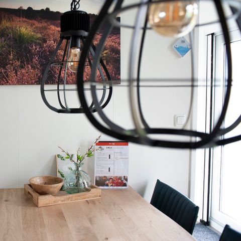 Hébergement pour groupe 12 personnes - Villa Veluwe avec Grill House 6+6