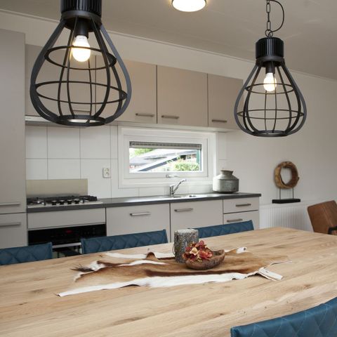 MAISON 18 personnes - District de Veluwe Villa