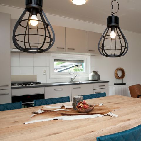 Hébergement pour groupe 12 personnes - Villa Veluwe avec Sauna et Grill House 6+6