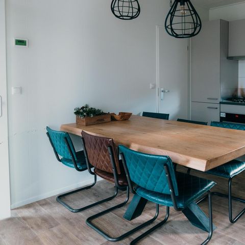 MAISON 12 personnes - Villa Veluwe avec Sauna et Grill House 6+6