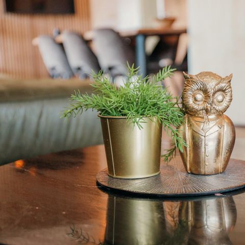 BUNGALOW 8 personnes - Tourbe grise