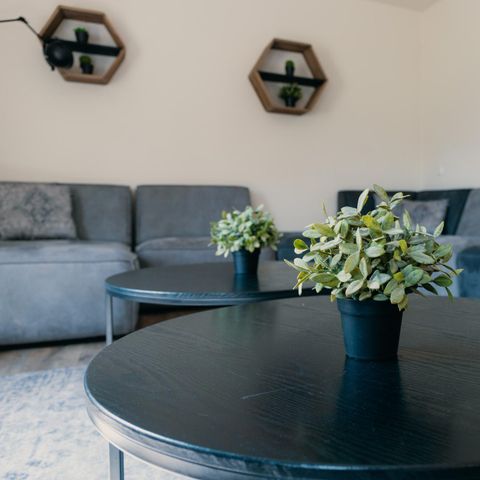 MAISON 20 personnes - Ferme collective