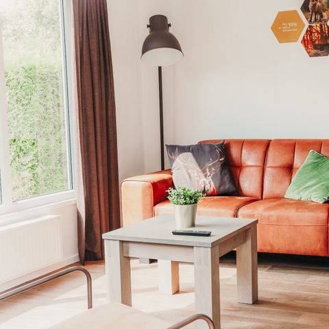 CHALET 4 personnes - Lodge Veluwe avec sauna privé