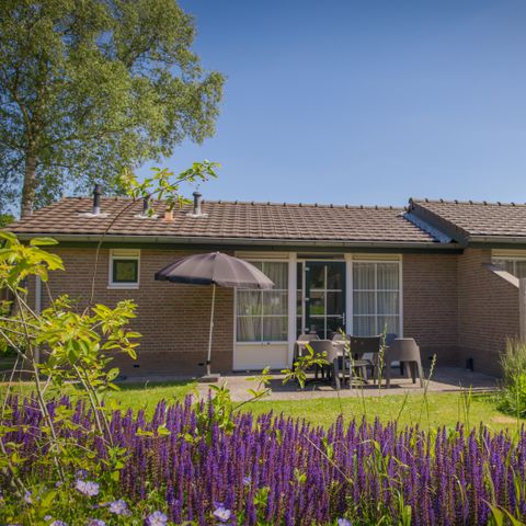 BUNGALOW 10 personnes - Bunckman Luxe