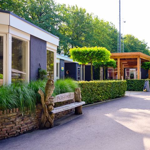 Vakantiepark De Bosrand - Camping Epe - Image N°2