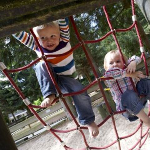 Vakantiepark De Bosrand - Camping Epe - Image N°3