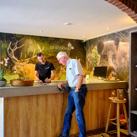 Vakantiepark De Bosrand - Camping Epe - Image N°2