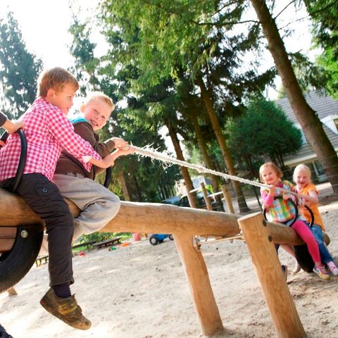 Vakantiepark De Bosrand - Camping Epe - Image N°5