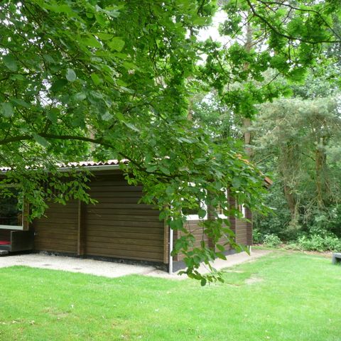 BUNGALOW 6 personnes - Finlandais