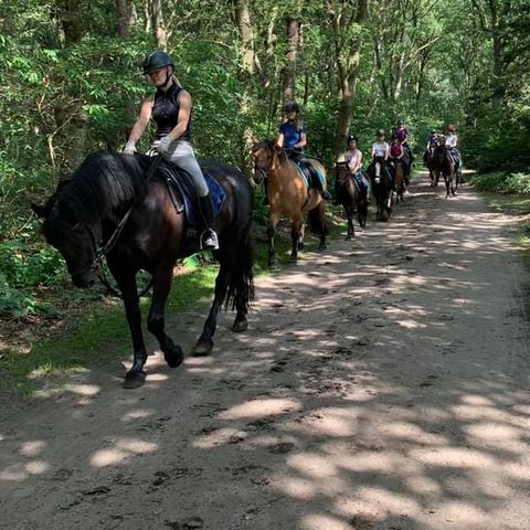 Vakantieoord De Bronzen Emmer - Camping Coevorden - Image N°4