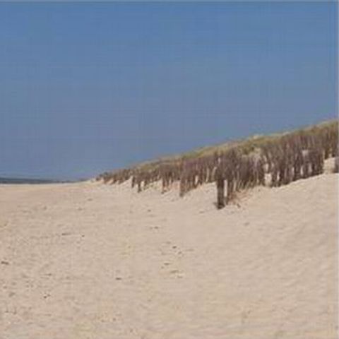 Park Merlo - Camping Flandre Occidentale - Image N°6