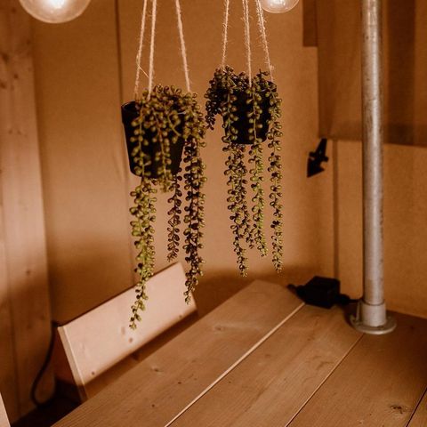 TENTE 5 personnes - glamping climatisé